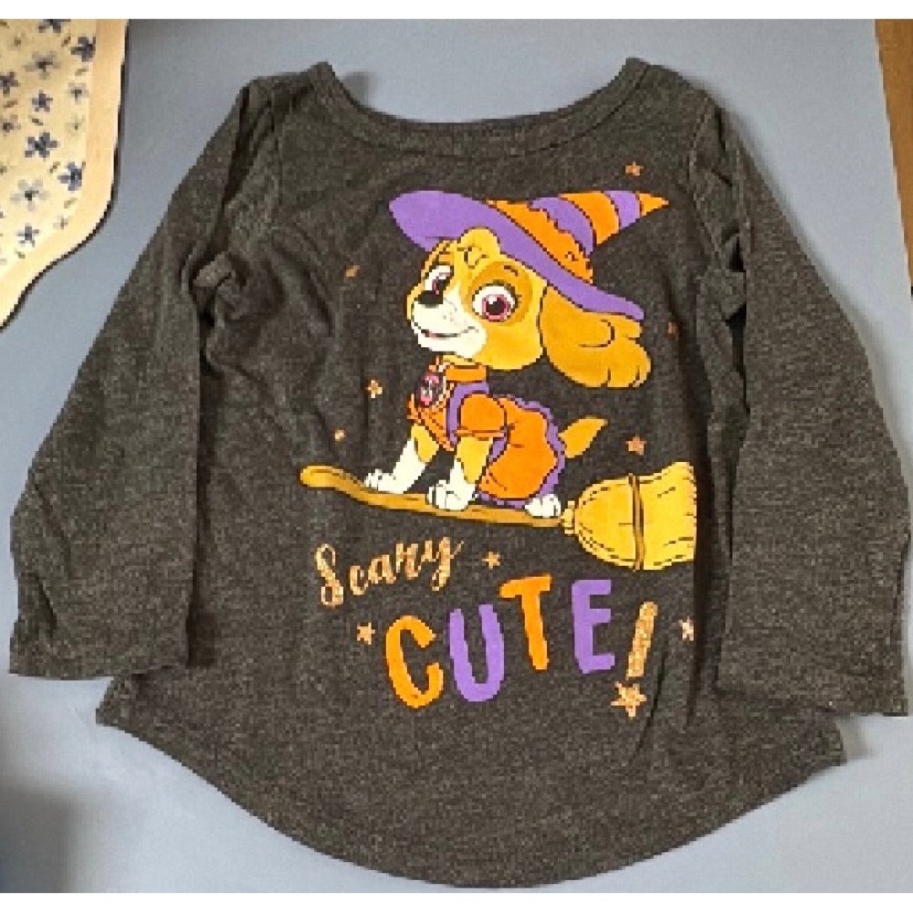 Jumping Beans Girls Paw Patrol Halloween Skye Witch Shirt Gray 2T Scary Cute